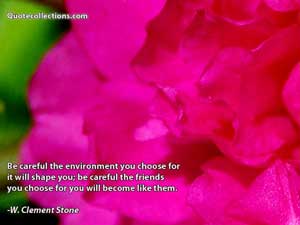 w_clement_stone_quotes Quotes 2